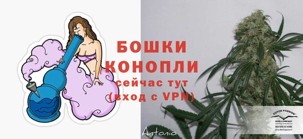 эйфоретик Строитель