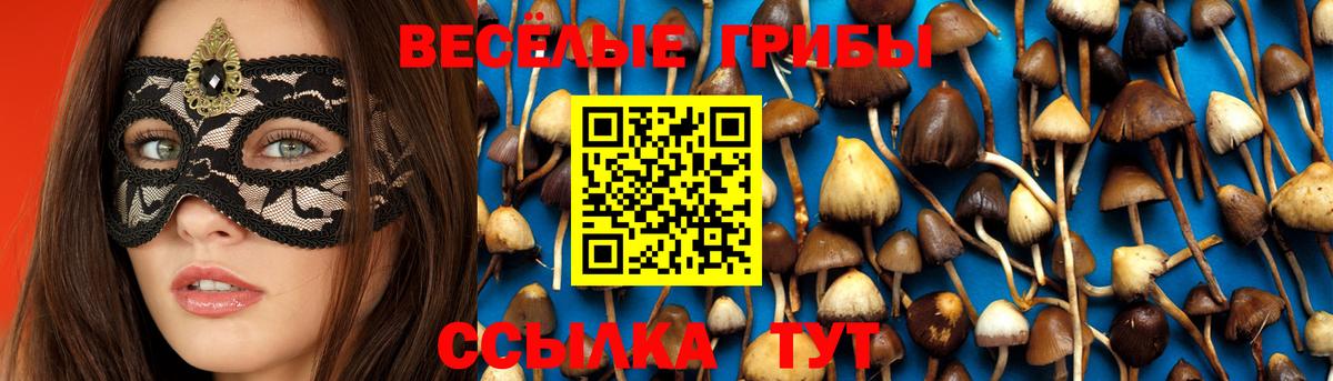 Мончегорск  Псилоцибиновые грибы прущие грибы  Вход с VPN  Галлюциногенные грибы MAGIC MUSHROOMS 