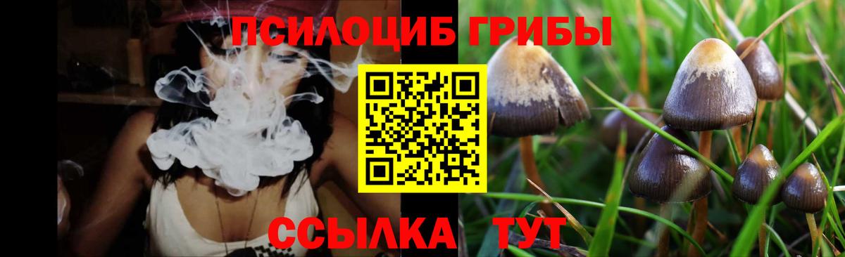 Галлюциногенные грибы мицелий Мончегорск